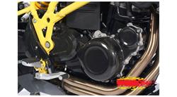 Carbonprotektor Lichtmaschinendeckel groß für BMW F650GS (08-12), F700GS & F800GS (08-18)