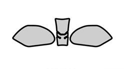 Lackschutz Folien für BMW R 1200 R, LC (2015-2018)