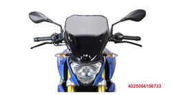 Racingscheibe für BMW G 310 R Racingscheibe für BMW G 310 R