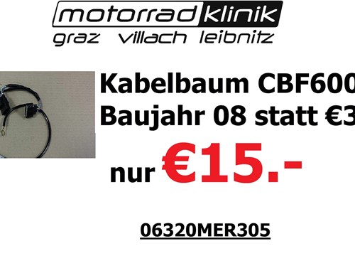 Kabelbaum CBF600 Baujahr 08 statt €30 nur €15 