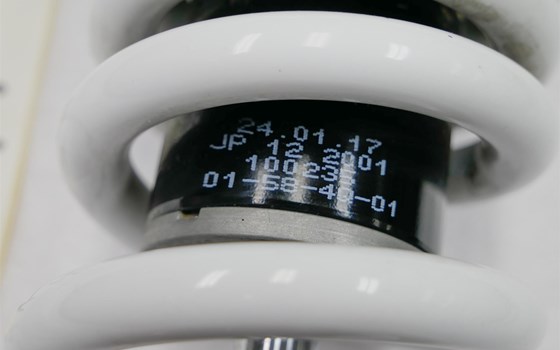 Federbein  - Bild 2 Federbein  - Bild 2