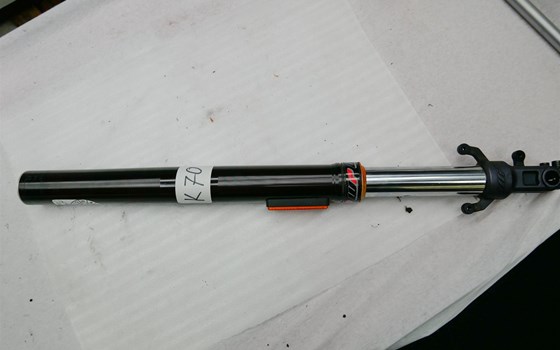 GABELBEIN RECHTS KPL.  - Bild 1 GABELBEIN RECHTS KPL.  - Bild 1