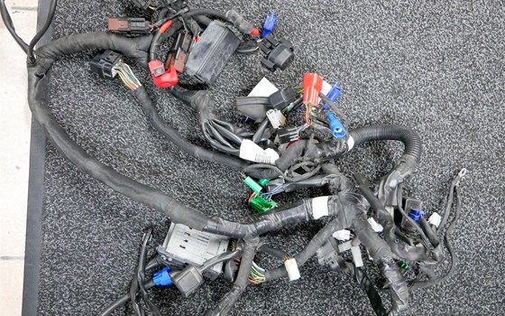 Hauptkabelstrang  Duke 125 2017 - Bild 1