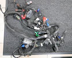 Hauptkabelstrang  Duke 125 2017