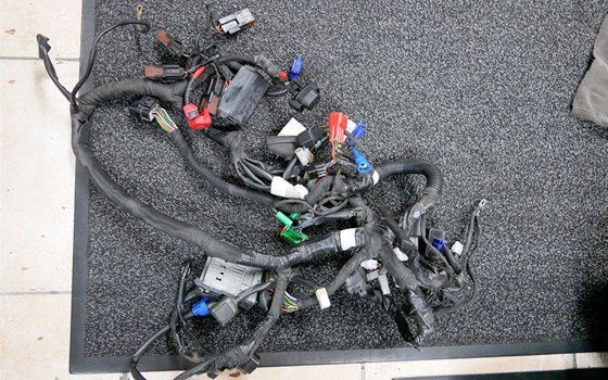 Hauptkabelstrang  Duke 125 2017 - Bild 2