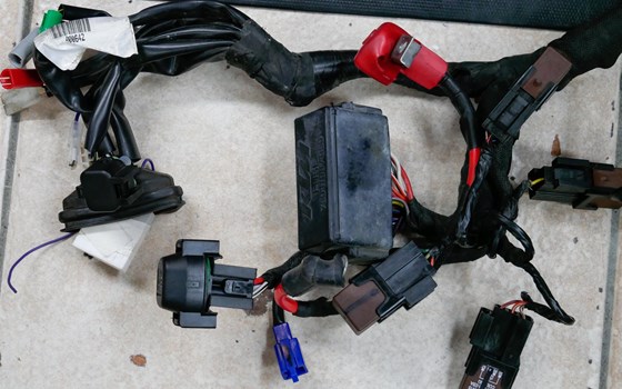 Hauptkabelstrang  Duke 125 2017 - Bild 3