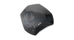 Carbon Windschild für BMW R 1200 R, LC (2015-2018)