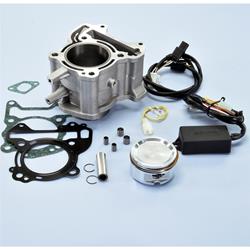 Rennzylinder POLINI 172 ccm 140.0221 für PIAGGIO Medley 125/150ccm 4T 4V