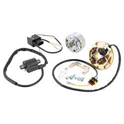 Zündung HPI universal für SACHS 50-175ccm/HERKULES K50