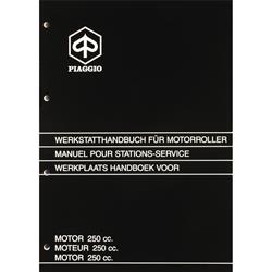 Werkstatthandbuch PIAGGIO Motor 250ccm GT (Honda CN 250 Motor)