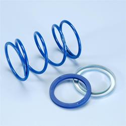 Gegendruckfeder POLINI Evo Slider 243.102 für PIAGGIO