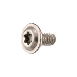 Schraube für Membranplättchen RD350 M3x6 mm, Linsenkopf Torx (4)