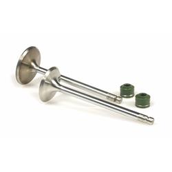 Ventil Kit MALOSSI für YAMAHA 250-300ccm, 4T LC