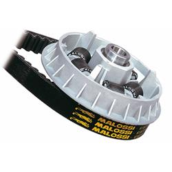 Variator MALOSSI Multivar, 5113597 für AIE Magamax (FBGM)