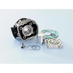 Rennzylinder POLINI 50 ccm 109.0018 für DERBI D50B0 für APRILIA/DERBI/GILERA RS/RX/Senda/GPR/RCR 50ccm 2T LC