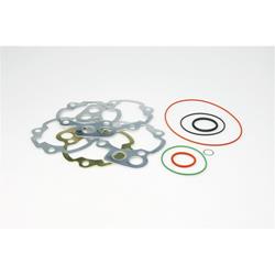 Dichtsatz Zylinder MALOSSI MHR für M3112381/M3112386 TEAM 50/79 ccm, 1112383B für MINARELLI AM 3-6 2T LC
