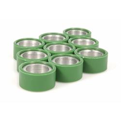 Variatorrollen POLINI 19x12 mm 8,1g, 242.323