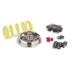 Variator MALOSSI, 517074 für HONDA/PEUGEOT/PGO Lead/SH/SC-Metropolis/Star