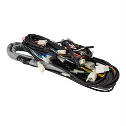 Kabelbaum LML, SF281-0186 für LML Star 200 4T