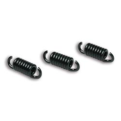 Feder MALOSSI, für MAXI DELTA CLUTCH MHR, 2912049 für GILERA/ITALJET Runner FX/FXR/Dragster 125/180ccm 2T LC