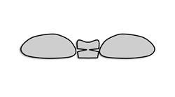 Lackschutz Folien für BMW R850R, R1100R, R1150R & Rockster Lackschutz Folien für BMW R850R, R1100R, R1150R & Rockster