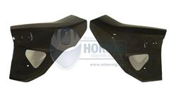 Carbon Kühlerverkleidung für BMW F800R