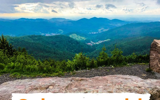 Süd-Schwarzwald 2026 | 4 Tage - Entdecke den kurvigen Süden - Bild 1