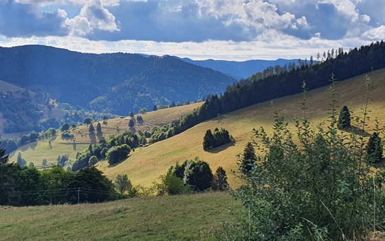 Süd-Schwarzwald 2026 | 4 Tage - Entdecke den kurvigen Süden - Bild 7