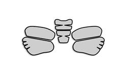 Lackschutz Folien für BMW R1200ST