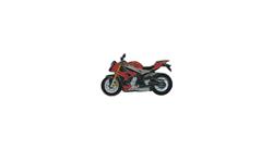 Pin S 1000 R (rot) für BMW S1000R (2014-2020) Pin S 1000 R (rot) für BMW S1000R (2014-2020)