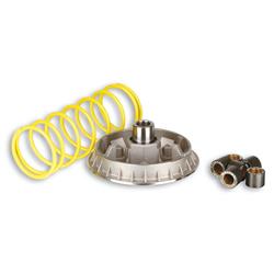 Variator MALOSSI MHR Multivar 2000, 5114192 für HONDA 300 SHI I/SH I Scoopy i.e. (NF02E)