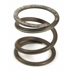 Kupplungsfeder POLINI Sport 228.0000 für Vespa 50-125/PV/ET3/PK50-125/S/XL