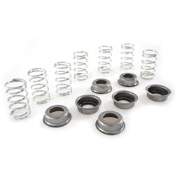 Kupplungsfedern PINASCO Sport 25090828 für Vespa 125 VN1T 06001->TS/150 VL1->T4/160 GS/180 SS/Rally/PX/PE/Lusso ->'94/T5/Cosa 1/LML Star/Deluxe 125-150 2T/4T