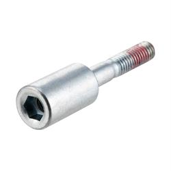 Schraube Variodeckel M6x30 mm, Innensechskant, PIAGGIO für PIAGGIO Liberty 50ccm 3V 4T iGet