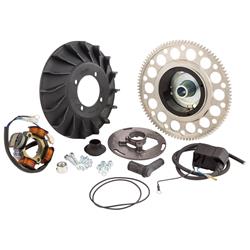 Zündung POLINI digital, 171.0550 für Vespa 125 GTR 2°/TS 2°/150 Sprint V 2°/Super 2°/200 Rally 2°/PX80-200/PE/Lusso /Cosa