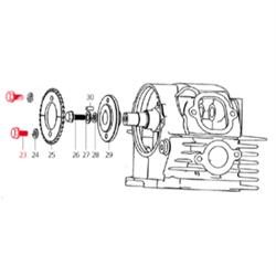 Schraube Zahnrad M6x10 mm, LML für LML Star 200 4T