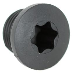 Verschlussschraube, Wasserpumpendeckel für Vespa GTS/GTS Super/GTV/GT 60 125-300ccm i.e. 4T LC