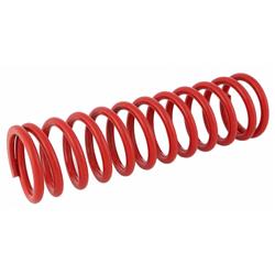 Feder BITUBO, Stoßdämpfer, vorne