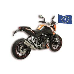 Rennauspuff MALOSSI GP MHR Replica 3215202 für KTM 125 Duke 4T LC i.e.