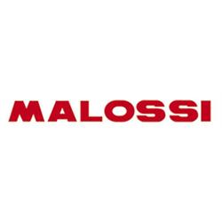 Banner MALOSSI "LOGO" weiß