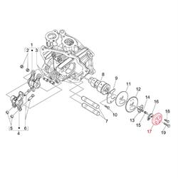 Platte, Schleudermassen für Vespa GTS/GTS Super 250/300ccm ('14-)
