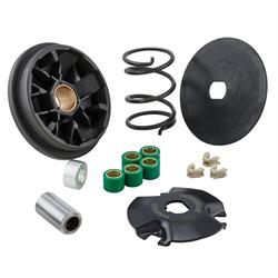 Variator PINASCO, 25260217 für PIAGGIO CIAO/PX/SI/Bravo/Superbravo/Grillo/Boss