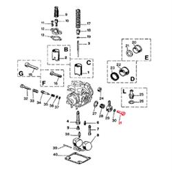 Schraube DELL'ORTO, Benzinschlauchanschluss, 00412341