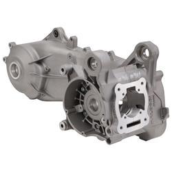 Motorgehäuse MALOSSI C-One für MINARELLI 50ccm 2T AC/LC