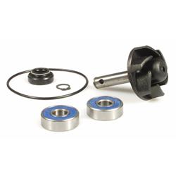 Reparaturkit, Wasserpumpe für MINARELLI LC