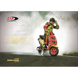 Postkarte SIP mit Motiv MALOSSI Deutschland