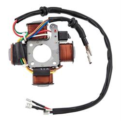 Zündgrundplatte SIP für PIAGGIO CIAO/PX/SC/SI/Boxer/Bravo/Superbravo 50ccm 2T AC