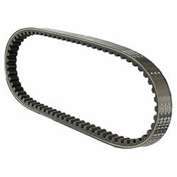 Keilriemen DAYCO für HONDA/PEUGEOT Lead/SC Metropolis