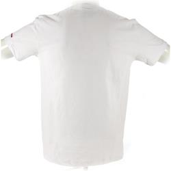 T-Shirt MALOSSI GRIFFE "Lion" Größe: XL Unisex