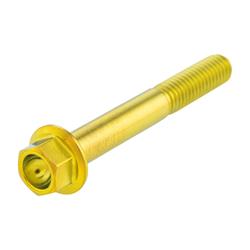 Schraube Variatordeckel M6x45 mm, Sechskant mit Flansch